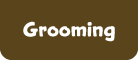 Grooming-B